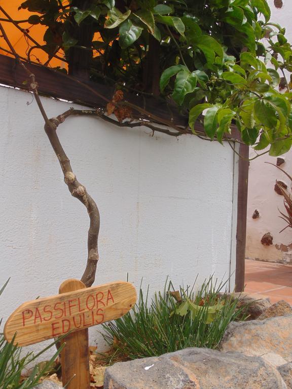 Casa Rural Soleario La Oliva Esterno foto
